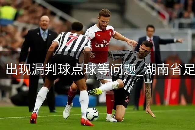 出现漏判球点球等问题 湖南省足球联赛相关裁判员被罚