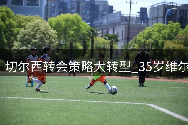 切尔西转会策略大转型 35岁维尔贝克成目标