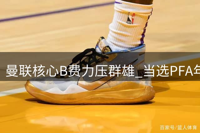 曼联核心B费力压群雄 当选PFA年度最佳球员