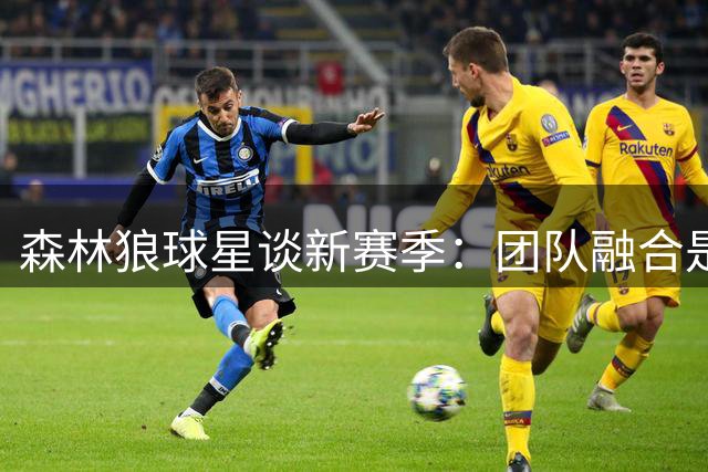 森林狼球星谈新赛季：团队融合是首要任务